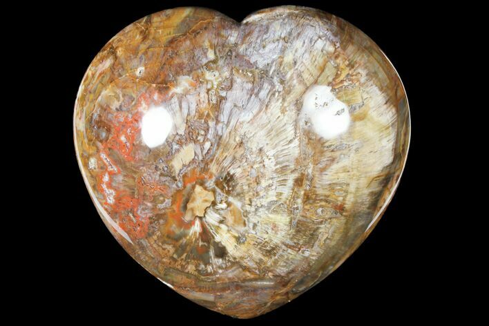 Large, Polished, Triassic Petrified Wood Heart - Madagascar #133619